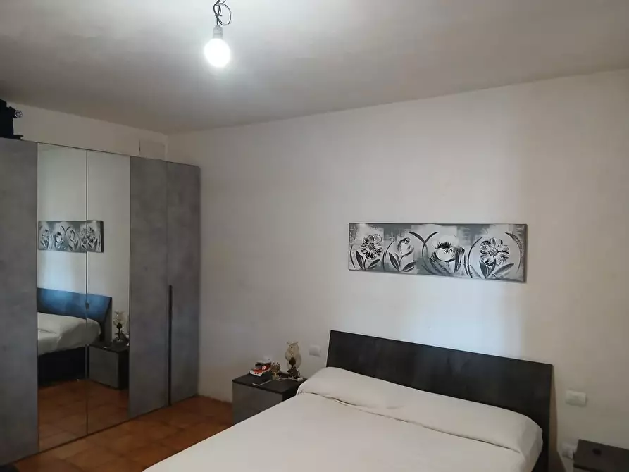 Immagine 18 di Azienda agricola in vendita  a Cinigiano