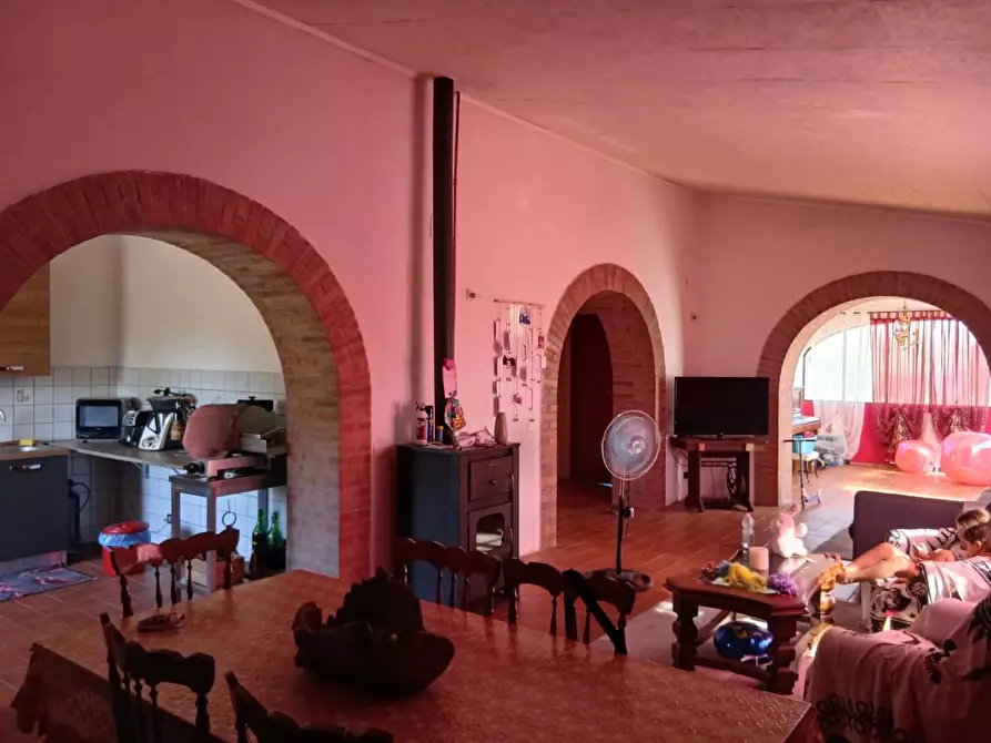 Immagine 14 di Azienda agricola in vendita  a Cinigiano