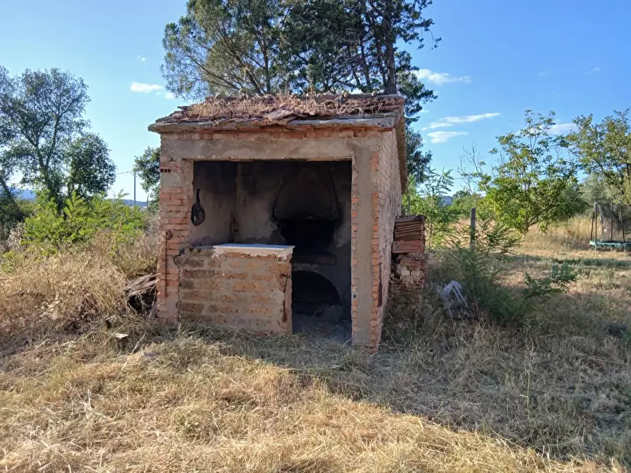 Immagine 5 di Azienda agricola in vendita  a Cinigiano