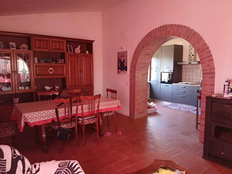 Immagine 12 di Azienda agricola in vendita  a Cinigiano