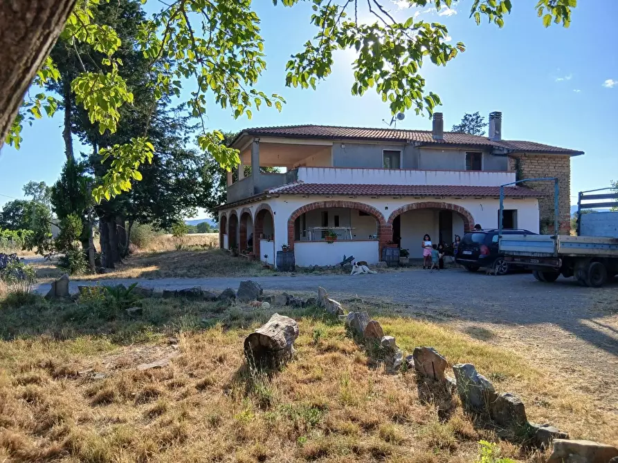 Immagine 1 di Azienda agricola in vendita  a Cinigiano