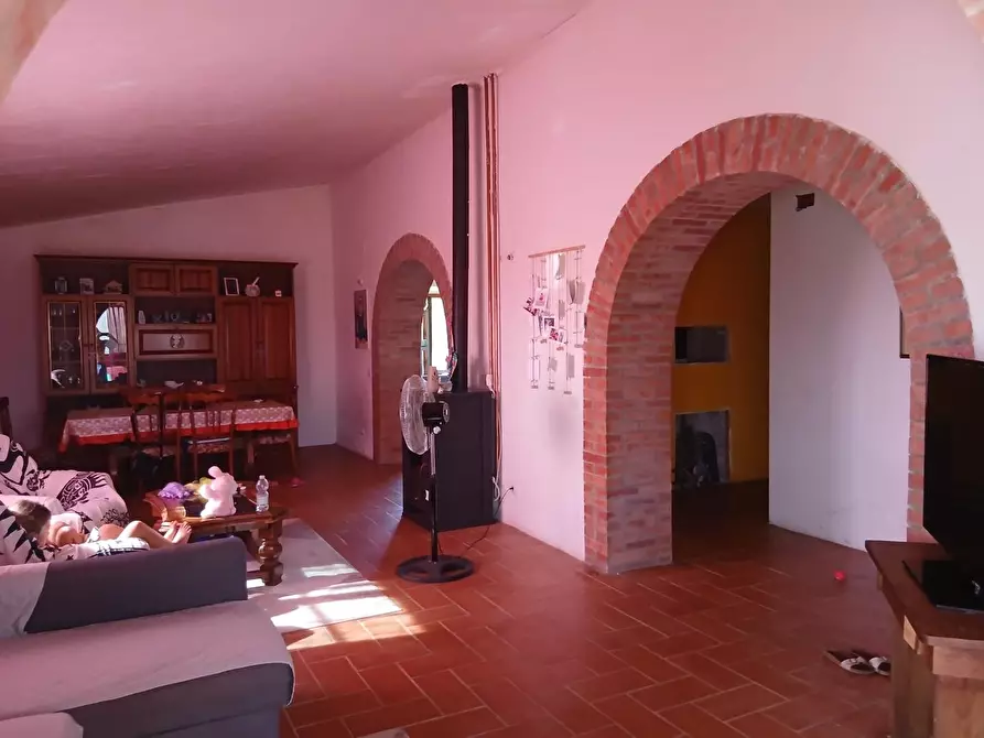 Immagine 10 di Azienda agricola in vendita  a Cinigiano