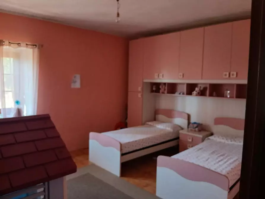 Immagine 17 di Azienda agricola in vendita  a Cinigiano