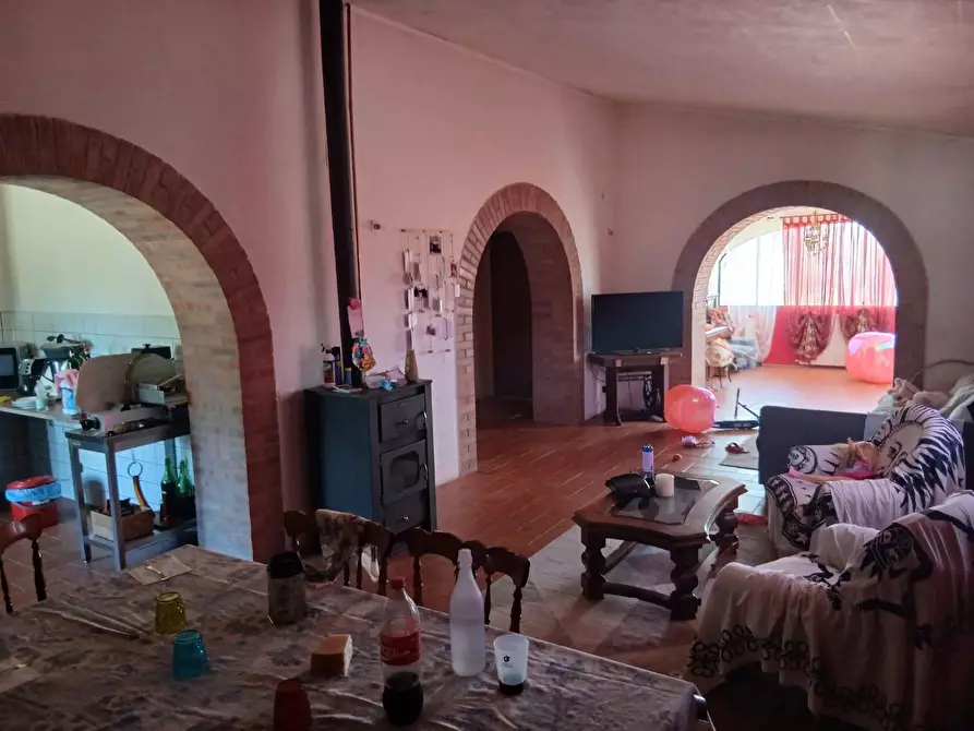 Immagine 9 di Azienda agricola in vendita  a Cinigiano