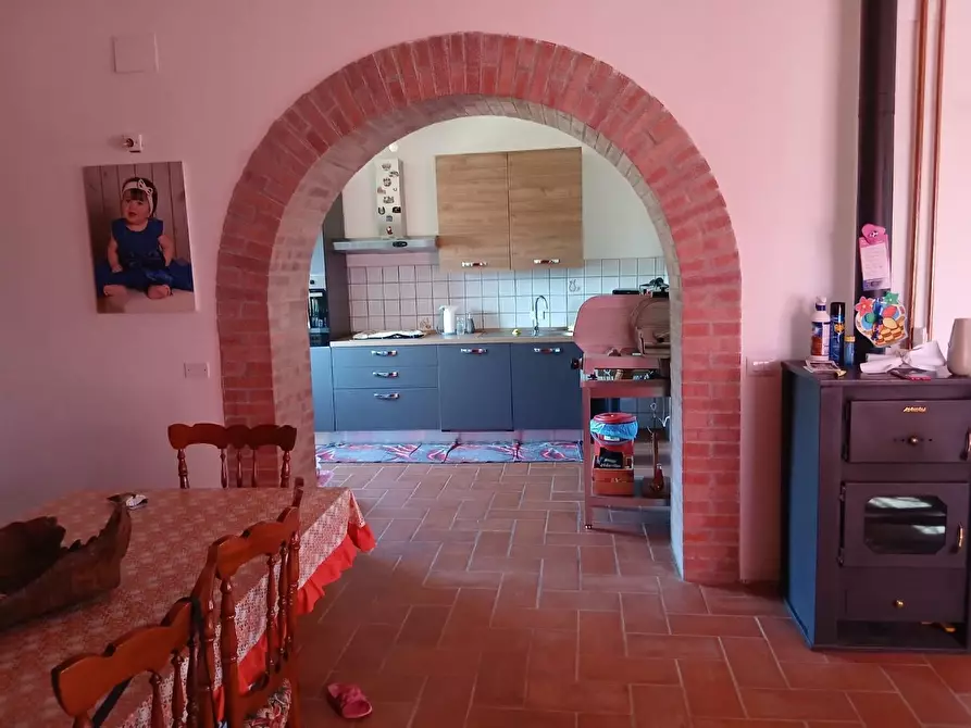 Immagine 11 di Azienda agricola in vendita  a Cinigiano