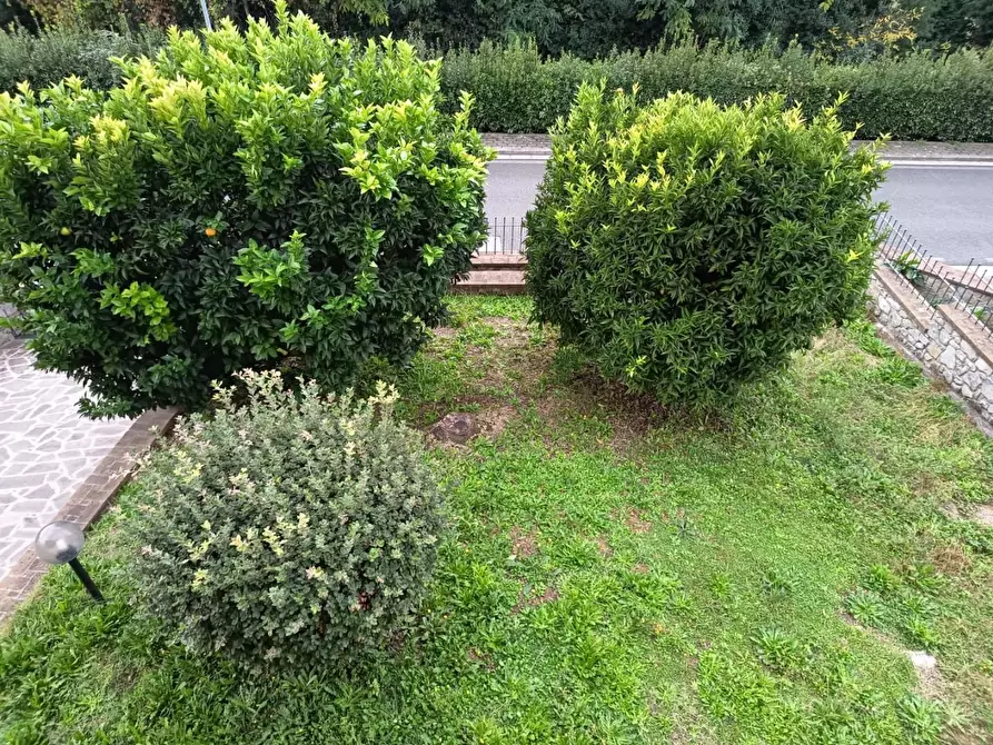 Immagine 36 di Villa in vendita  a Casciana Terme Lari