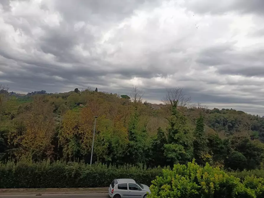 Immagine 24 di Villa in vendita  a Casciana Terme Lari