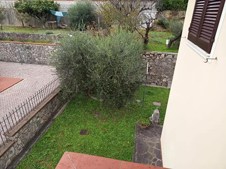 Immagine 40 di Villa in vendita  a Casciana Terme Lari