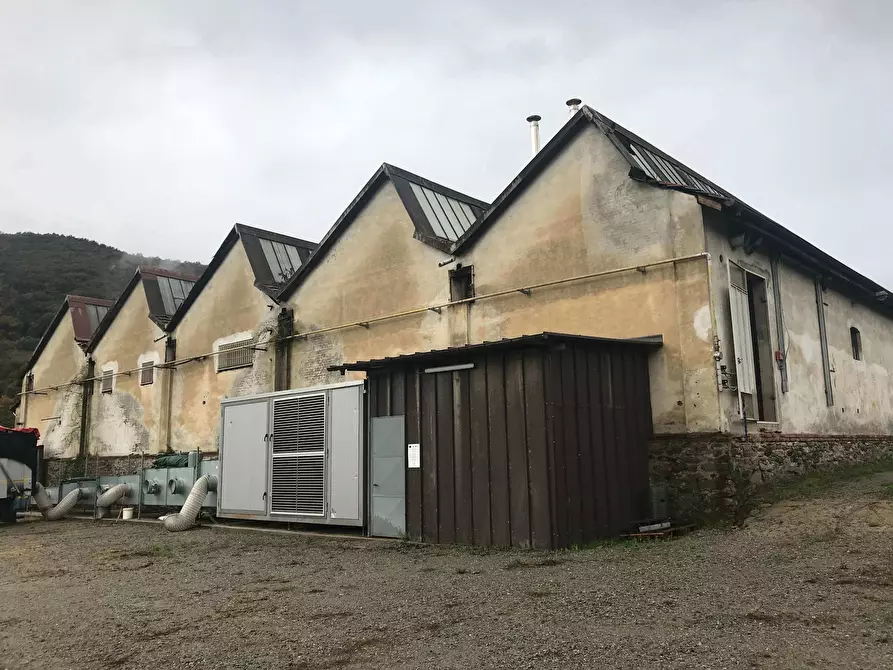 Immagine 1 di Capannone industriale in vendita  a Luserna San Giovanni