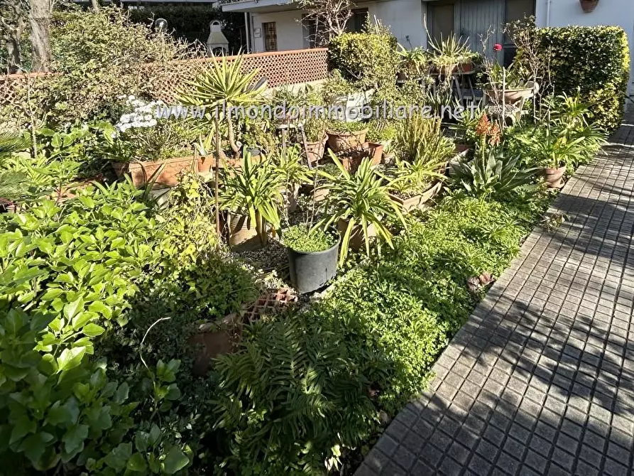 Immagine 17 di Appartamento in vendita  a Rosignano Marittimo