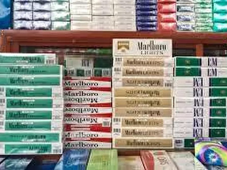 Immagine 13 di Attività commerciale in vendita  a Lanzo Torinese