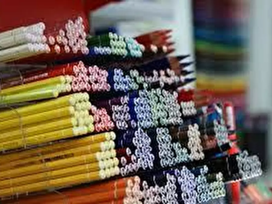 Immagine 25 di Attività commerciale in vendita  a Lanzo Torinese