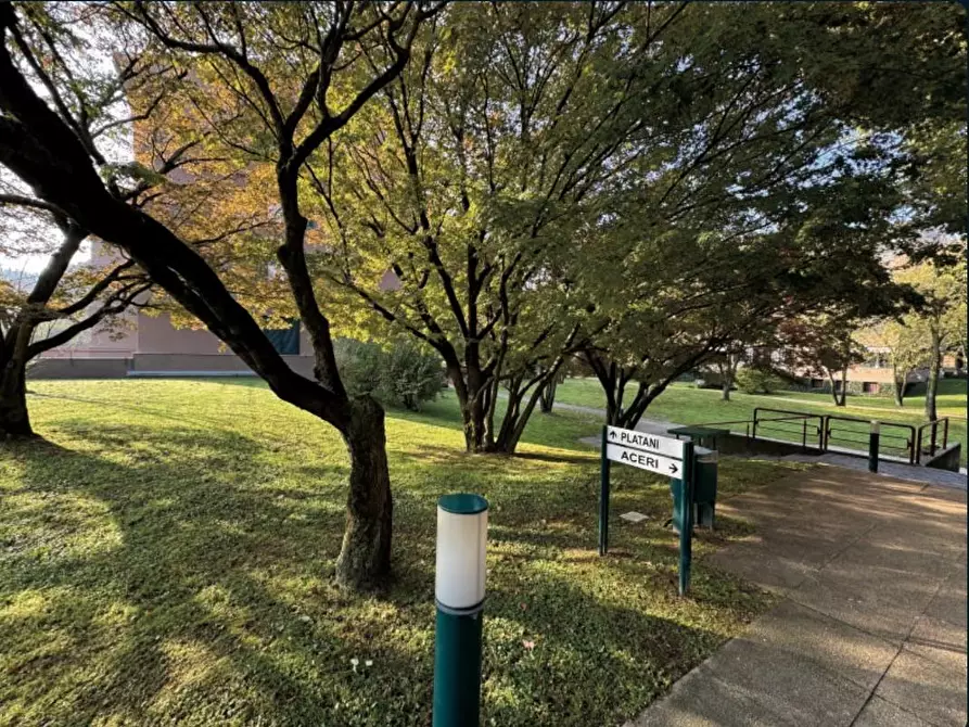 Immagine 3 di Appartamento in vendita  a Buccinasco