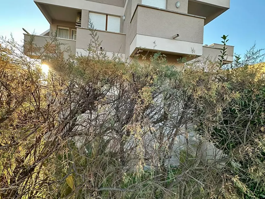 Immagine 9 di Appartamento in vendita  a Pisa