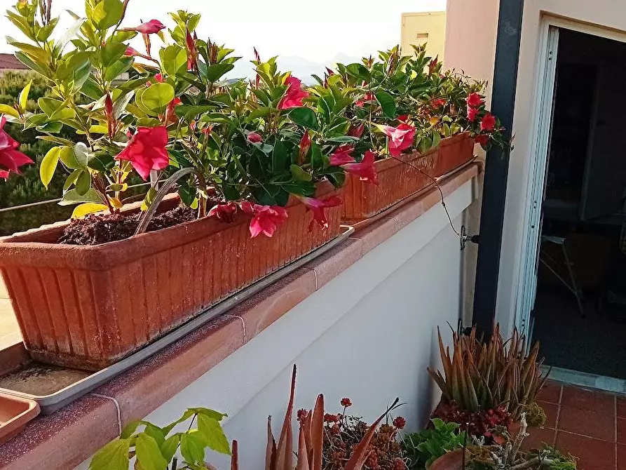 Immagine 14 di Mansarda in vendita  a Pisa