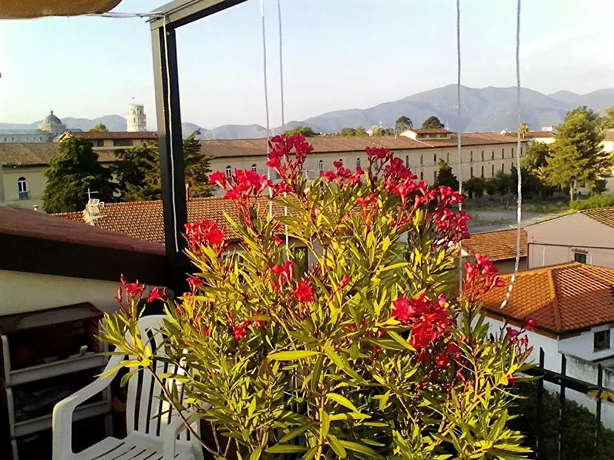 Immagine 19 di Mansarda in vendita  a Pisa