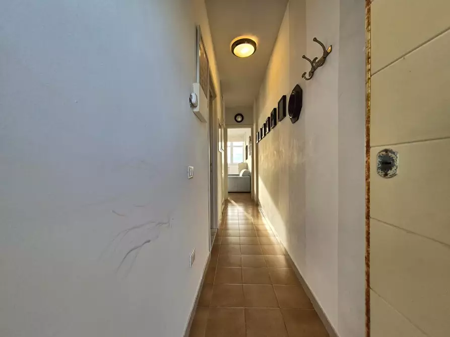 Immagine 6 di Appartamento in affitto  a Pisa