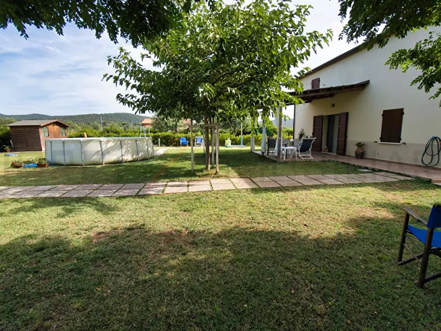 Immagine 32 di Terratetto in vendita  a Piombino