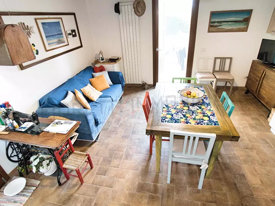 Immagine 6 di Terratetto in vendita  a Piombino