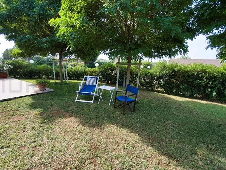 Immagine 31 di Terratetto in vendita  a Piombino