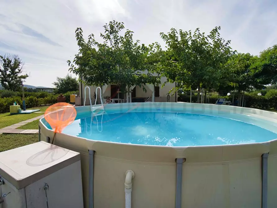 Immagine 35 di Terratetto in vendita  a Piombino