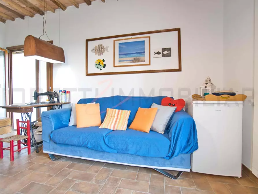 Immagine 8 di Terratetto in vendita  a Piombino