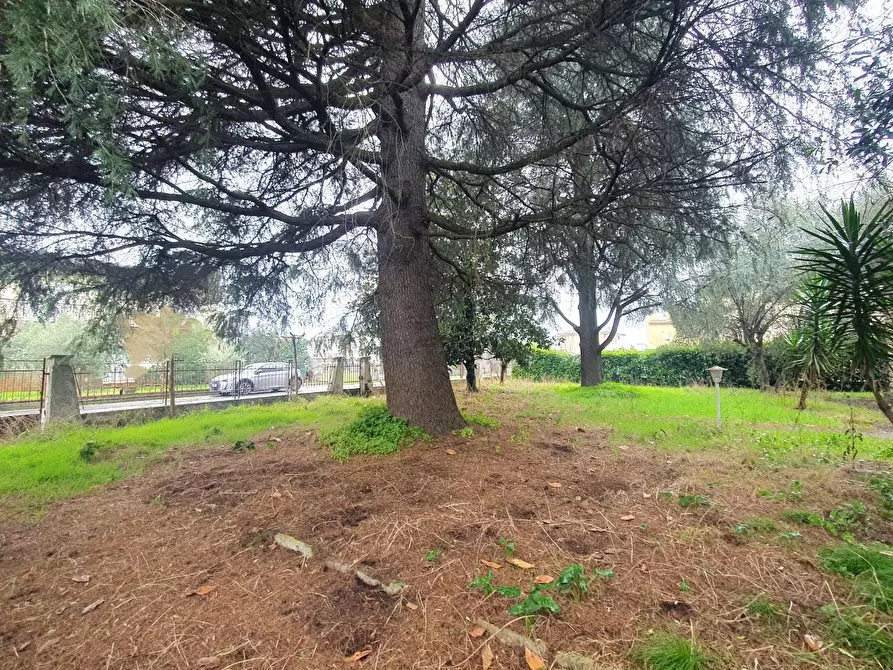 Immagine 34 di Casa bifamiliare in vendita  a Lucca