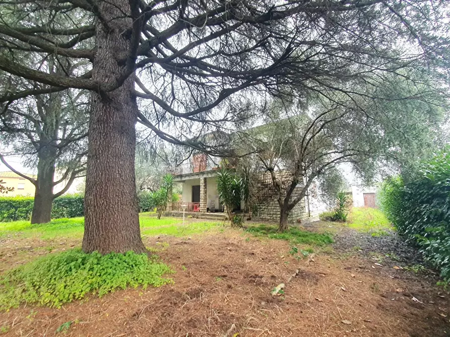 Immagine 35 di Casa bifamiliare in vendita  a Lucca