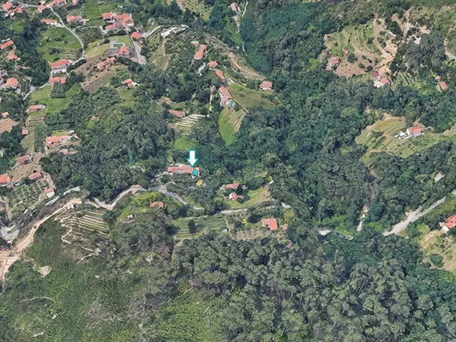 Immagine 1 di Appartamento in vendita  a Pietrasanta