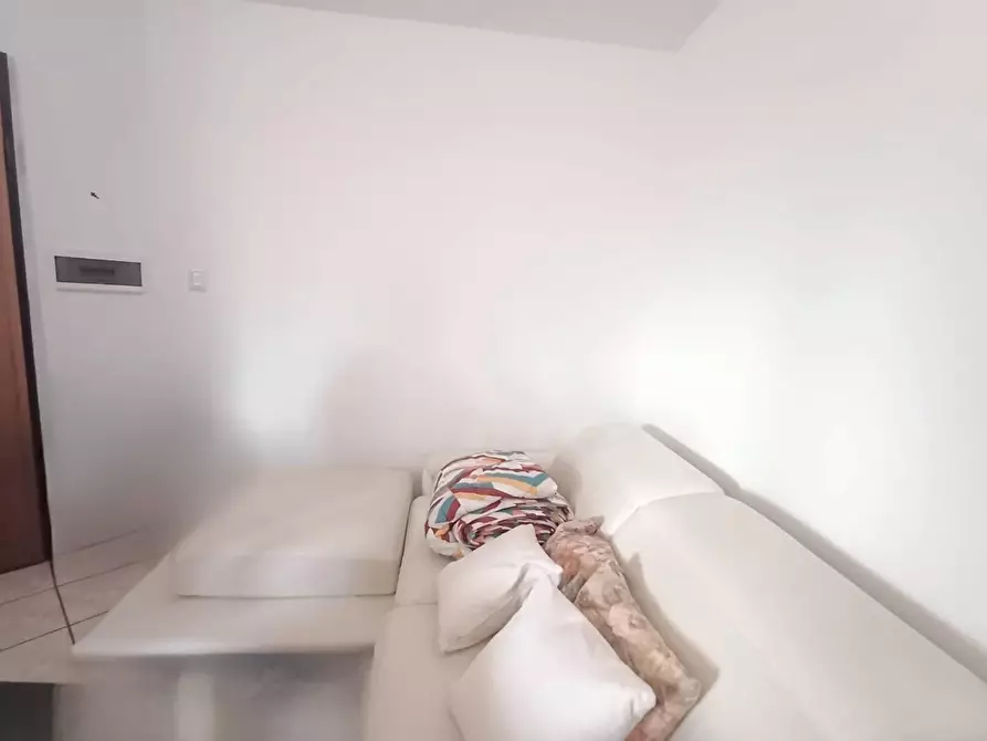 Immagine 22 di Appartamento in vendita  a Monteroni D'arbia