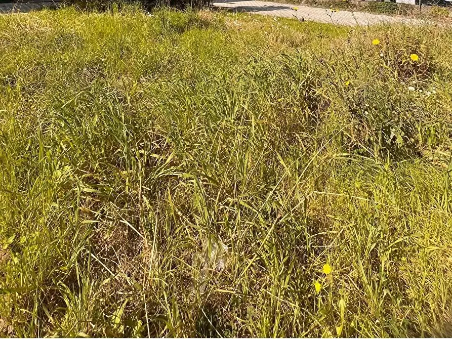 Immagine 18 di Capannone industriale in affitto  a Cascina