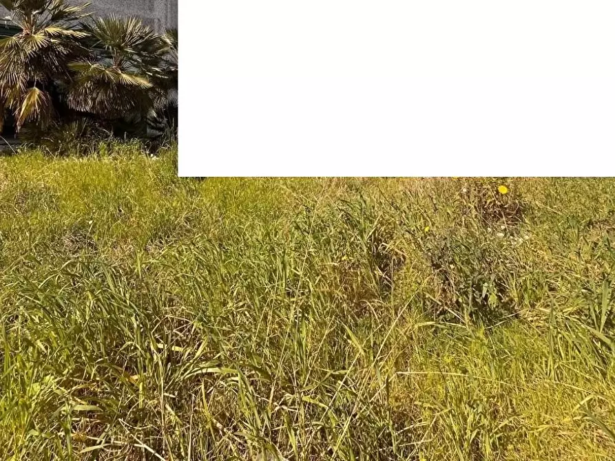 Immagine 17 di Capannone industriale in affitto  a Cascina