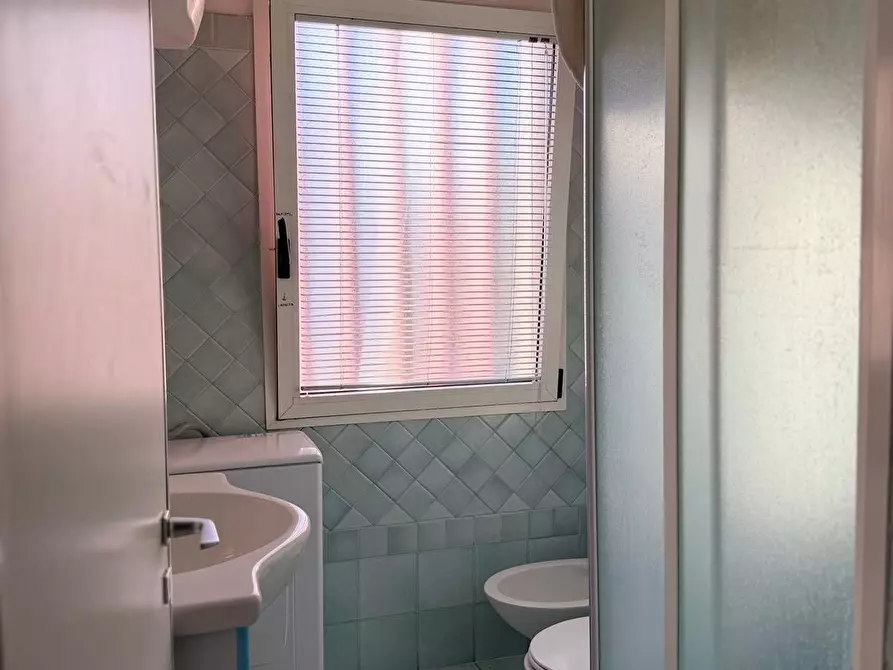 Immagine 14 di Appartamento in vendita  a Bibbona