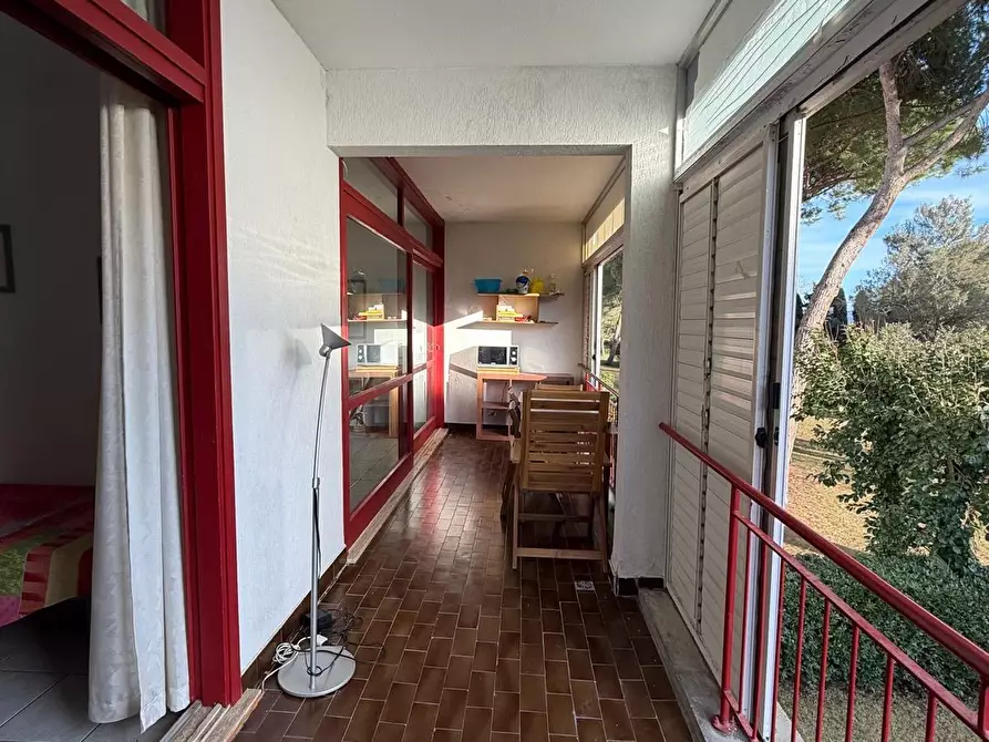 Immagine 2 di Appartamento in vendita  a Bibbona