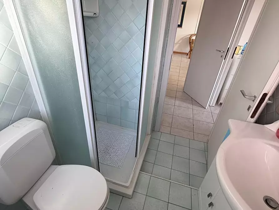 Immagine 13 di Appartamento in vendita  a Bibbona