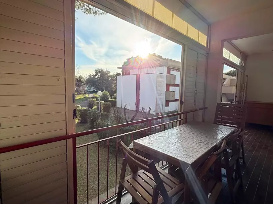 Immagine 1 di Appartamento in vendita  a Bibbona