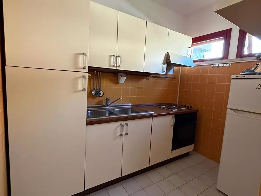 Immagine 6 di Appartamento in vendita  a Bibbona