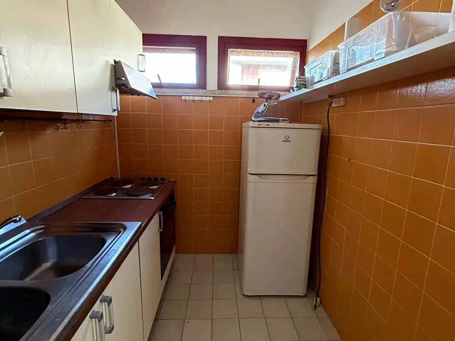 Immagine 7 di Appartamento in vendita  a Bibbona