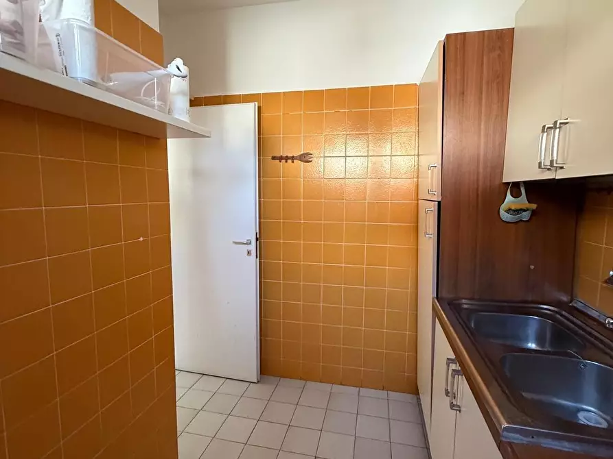 Immagine 8 di Appartamento in vendita  a Bibbona