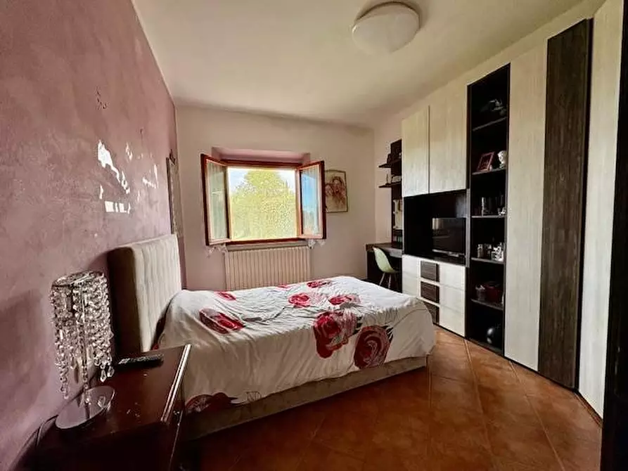 Immagine 33 di Terratetto in vendita  a Crespina Lorenzana