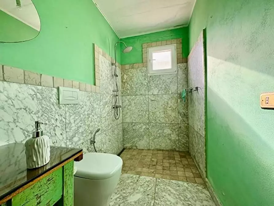 Immagine 18 di Terratetto in vendita  a Crespina Lorenzana