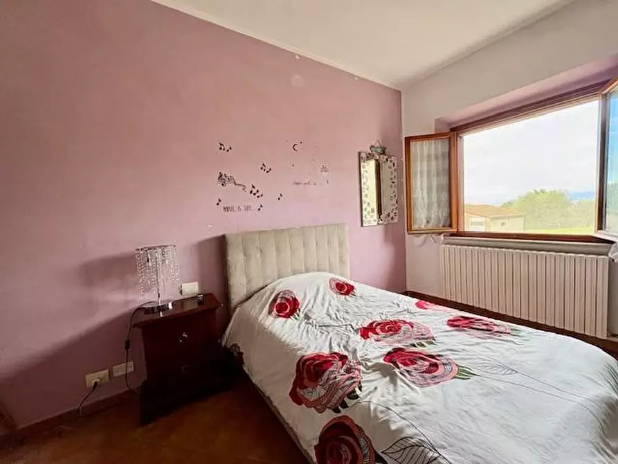 Immagine 35 di Terratetto in vendita  a Crespina Lorenzana