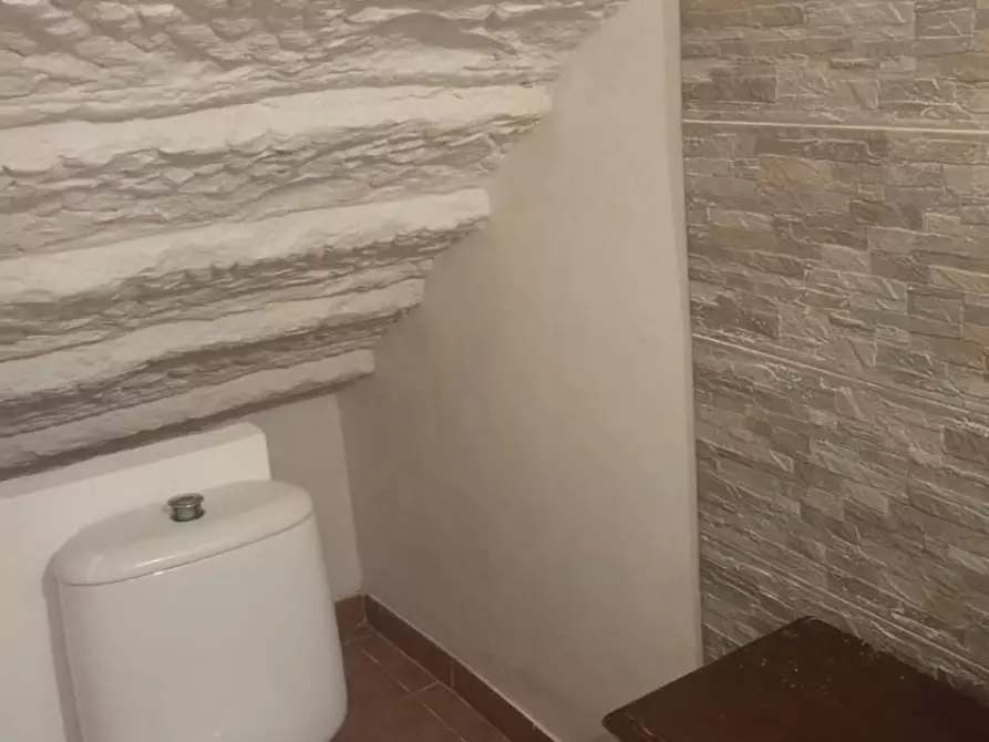 Immagine 44 di Terratetto in vendita  a Crespina Lorenzana