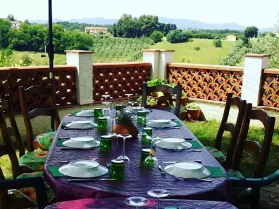 Immagine 6 di Terratetto in vendita  a Crespina Lorenzana