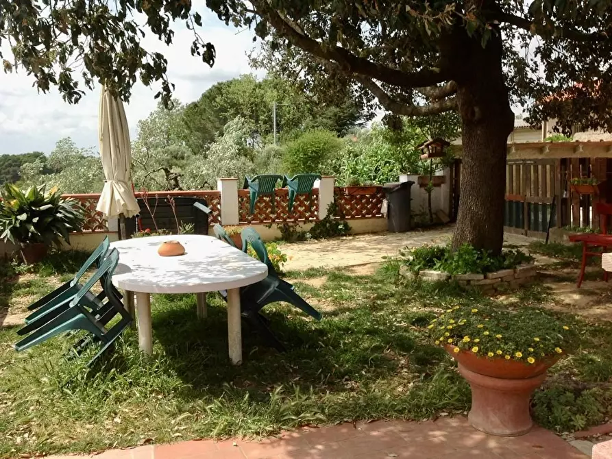 Immagine 1 di Terratetto in vendita  a Crespina Lorenzana