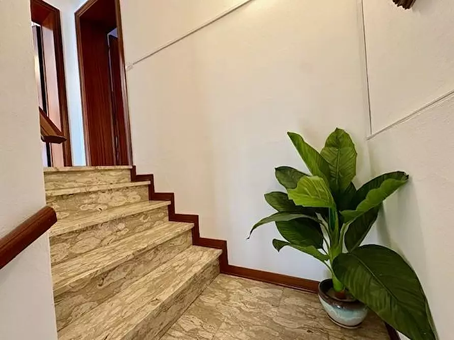 Immagine 27 di Terratetto in vendita  a Crespina Lorenzana