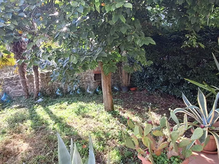 Immagine 18 di Casa indipendente in vendita  a Borgo A Mozzano