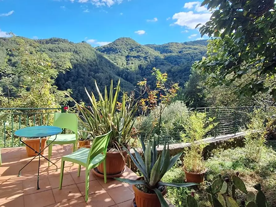 Immagine 19 di Casa indipendente in vendita  a Borgo A Mozzano