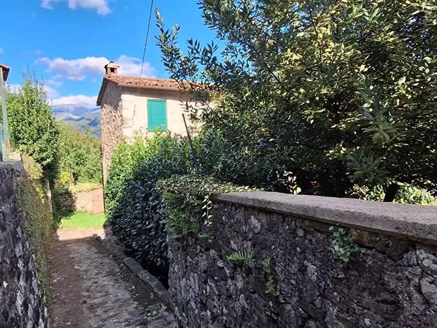 Immagine 15 di Casa indipendente in vendita  a Borgo A Mozzano