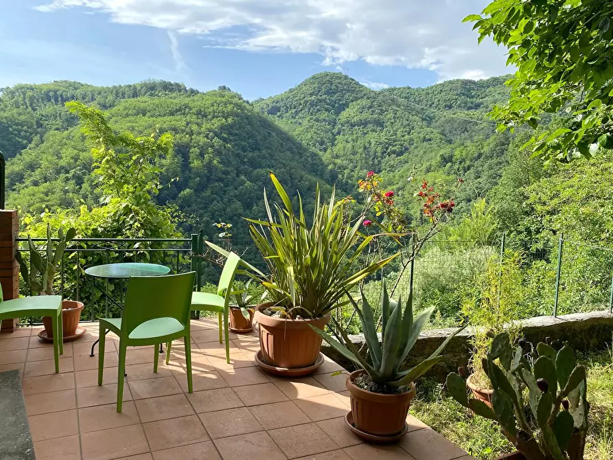 Immagine 3 di Casa indipendente in vendita  a Borgo A Mozzano